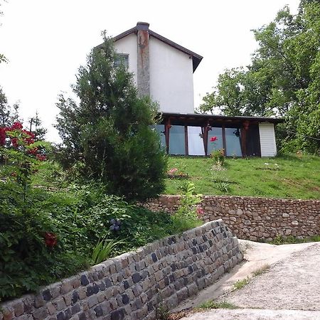 Casa Piscul Lupului Villa Pucioasa Eksteriør bilde