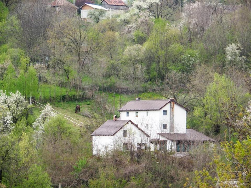 Casa Piscul Lupului Villa Pucioasa Eksteriør bilde