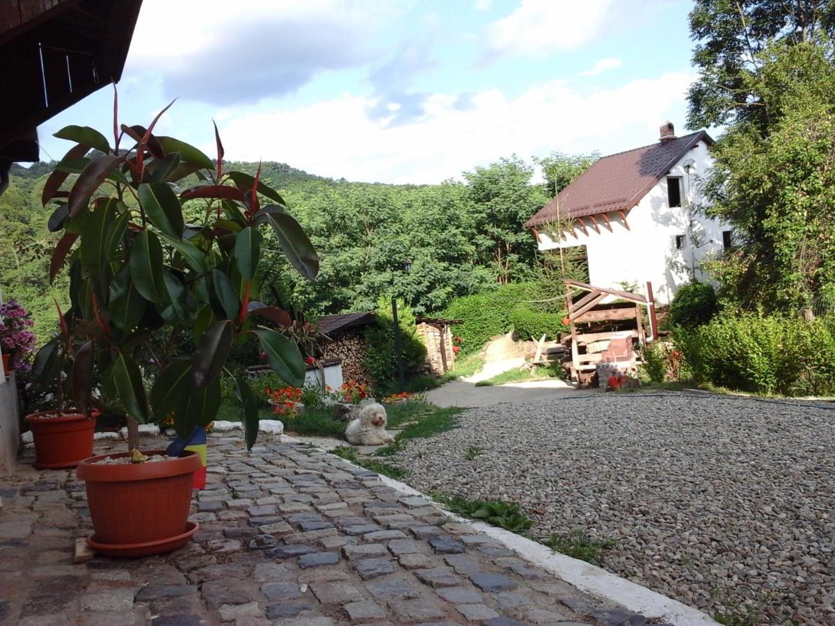 Casa Piscul Lupului Villa Pucioasa Eksteriør bilde