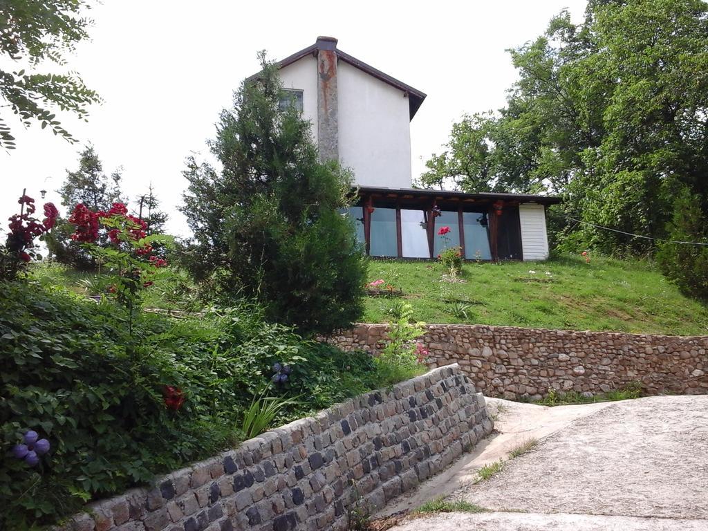 Casa Piscul Lupului Villa Pucioasa Eksteriør bilde