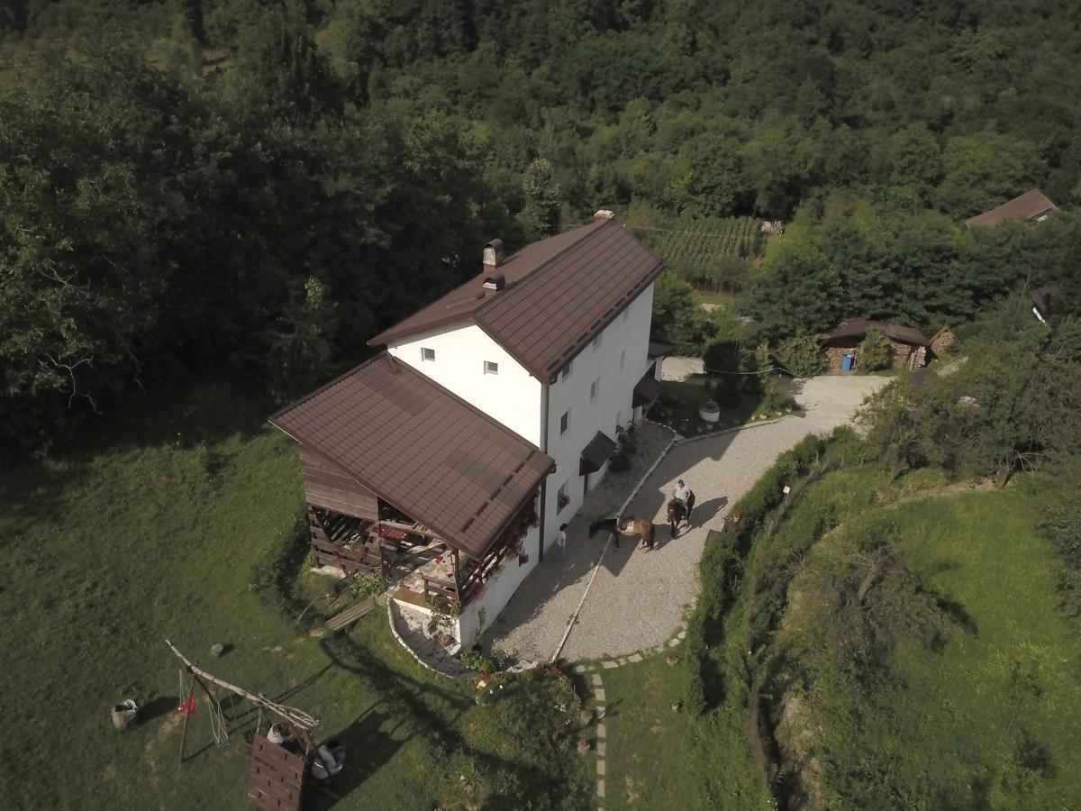 Casa Piscul Lupului Villa Pucioasa Eksteriør bilde